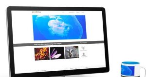 5 Páginas para subir fotos gratis sin registrarse 5 Páginas para subir fotos gratis sin registrarse