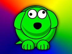 Las 5 mejores alternativas a WhatsDog de 2019 mejores alternativas a WhatsDog de 2019