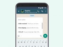 Cómo usar WhatsApp Business (sin morir en el intento) Como usar WhatsApp Business