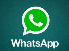 Cómo descargar WhatsApp para Windows Phone 8.1 Descargar WhatsApp para Windows Phone 8.1 gratis