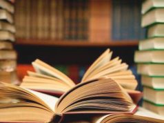 Las mejores alternativas a Papyrefb alternativas a Papyrefb