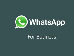 ¿WhatsApp Business funciona en WhatsApp Web? WhatsApp Business funciona en WhatsApp Web