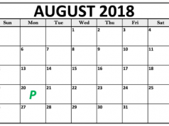 Android 9.0 P será presentado el 20 de agosto android p lanzamiento agosto