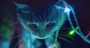 ¿Los fondos de pantalla animados gastan más batería? ¿Los fondos de pantalla animados gastan más batería?
