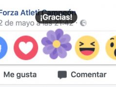 Nueva reacción «flor morada» en Facebook para dar las «gracias» reaccion flor morada facebook gracias