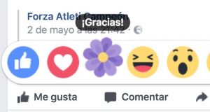 Nueva reacción «flor morada» en Facebook para dar las «gracias» reaccion flor morada facebook gracias